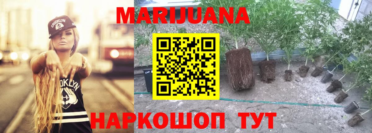 Шишки марихуана план Краснодар