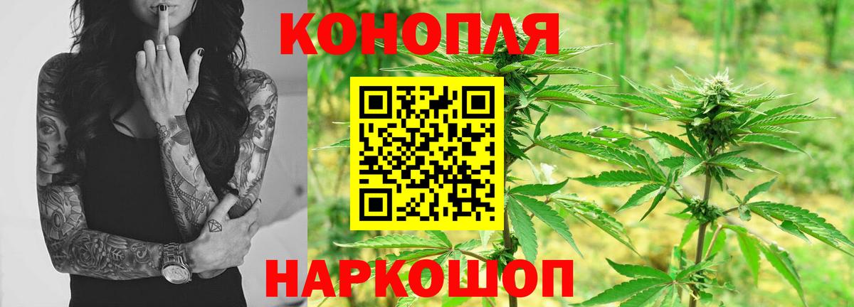 Марихуана план  Марихуана сатива  Вход с VPN  Краснодар  Бошки марихуана THC 21%  Бошки марихуана конопля 